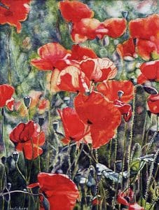 I papaveri della Toscana (2001), watercolour 36,5 x 27 cm - Sold