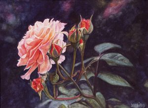 My roses VI (1998), watercolour 16,5 x 24 cm - Sold