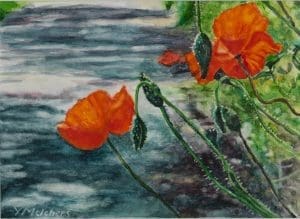 Papaveri a Pacina, watercolour 13 x 18 cm - Euro 395