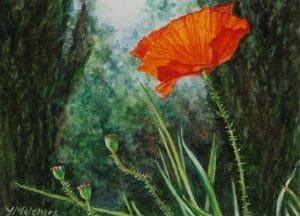 Papavero a Pacina (2010), watercolour 13 x 18 cm - Sold
