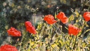 Poppies in E. (1998), aquarel 15 x 24,5 cm - Sold