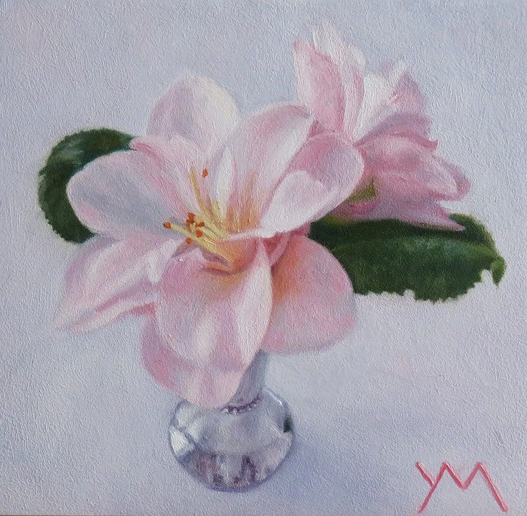 Camellias from my garden. Oil on panel 14 x 14 cm (2020) - Sold