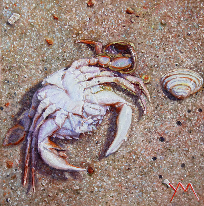 Washed Ashore/North Sea Beach II, oil on panel, 15 x 15 cm (available at Gallery Het Moment - Zierikzee/The Netherlands)
